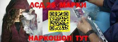 стаф Сланцы
