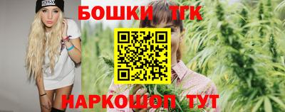 стаф Сланцы