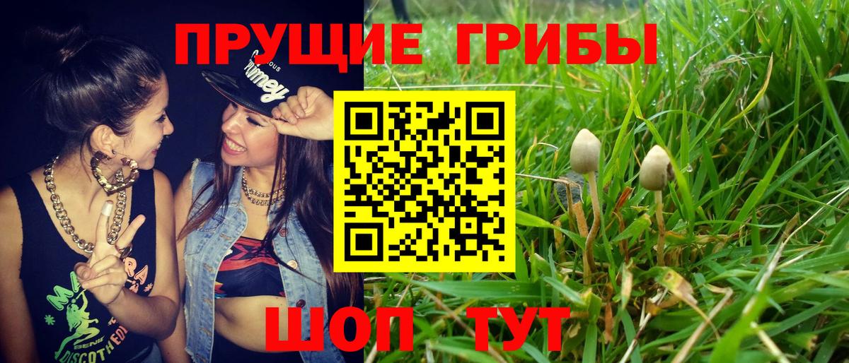 Ялта  Галлюциногенные грибы мицелий  Вход с VPN 