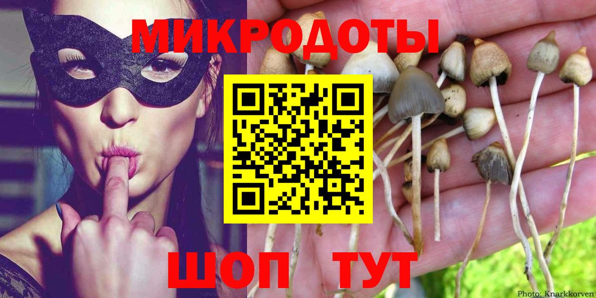 Галлюциногенные грибы Psilocybine cubensis Ялта